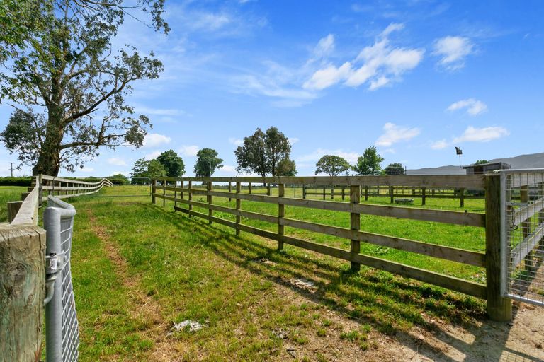 Photo of property in 570 Tauranga Road, Te Poi, Matamata, 3473