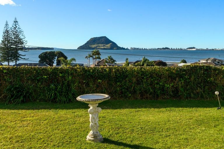 Photo of property in 10 Acklam Avenue, Otumoetai, Tauranga, 3110