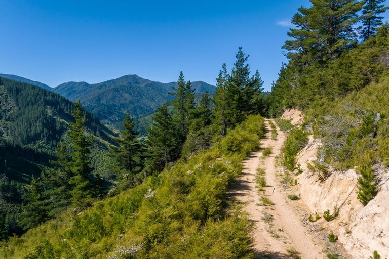 Photo of property in 785 Waikakaho Road, Tuamarina, Blenheim, 7273