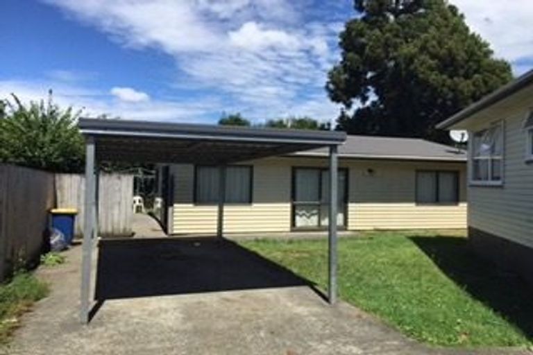 Photo of property in 99 Universal Drive, Henderson, Auckland, 0610