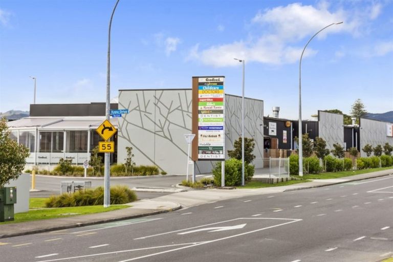 Photo of property in 78 Pyes Pa Road, Pyes Pa, Tauranga, 3112