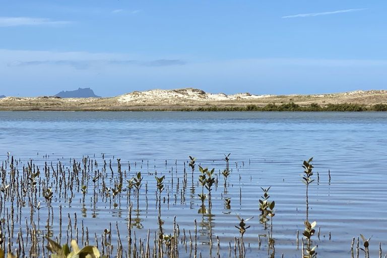 Photo of property in 487 Cove Road, Waipu, 0582