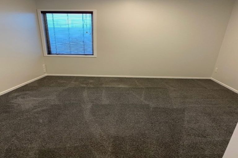 Photo of property in 22e Hunter Street, Hamilton Lake, Hamilton, 3204