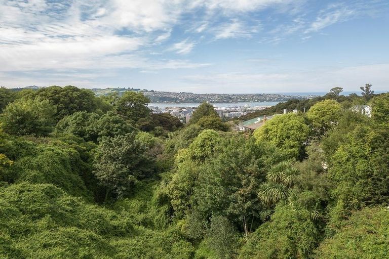 Photo of property in 22 Henry Street, Maori Hill, Dunedin, 9010