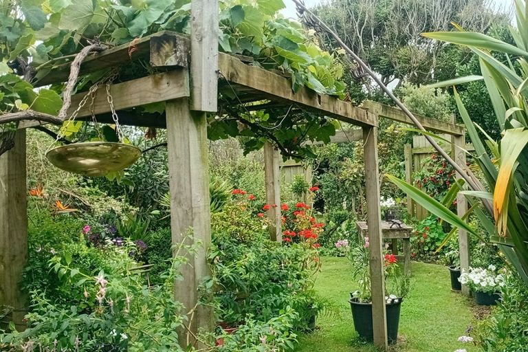 Photo of property in 77 Kapuni Street, Manaia, 4612