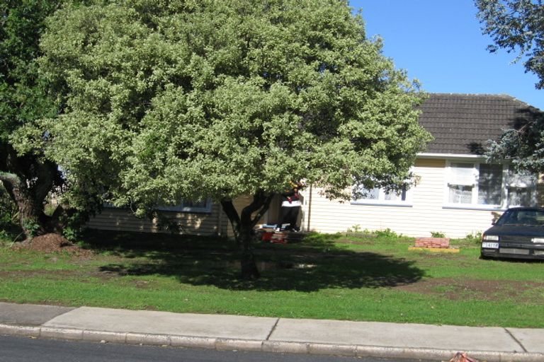 Photo of property in 35 Cobham Crescent, Otara, Auckland, 2023