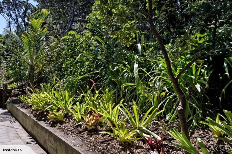 Photo of property in 35 Beach Valley Road, Piha, New Lynn, 0772