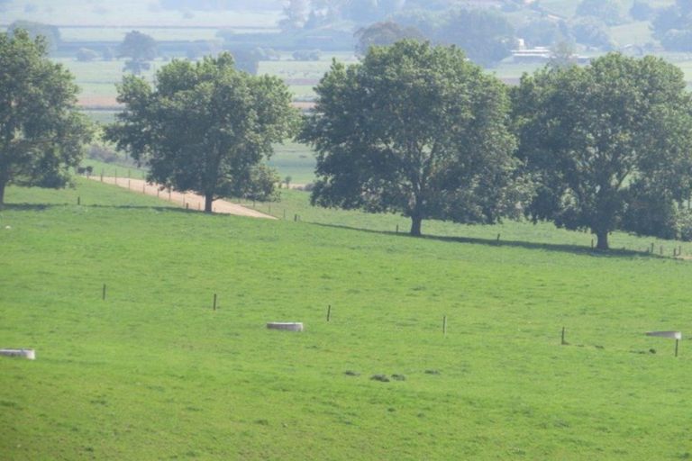 Photo of property in 23 Hinewai Road, Te Kawa, Te Awamutu, 3873