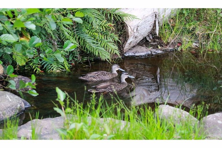 Photo of property in 44h Darwin Road, Kerikeri, 0230