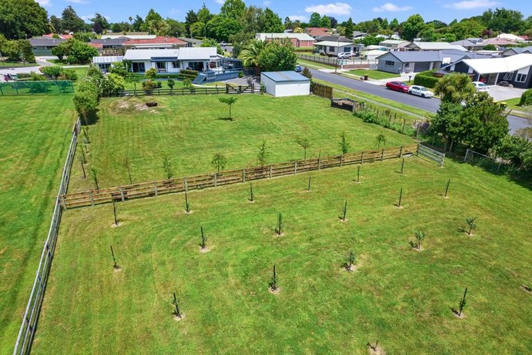 Photo of property in 38 Ritchie Street, Te Aroha, 3320