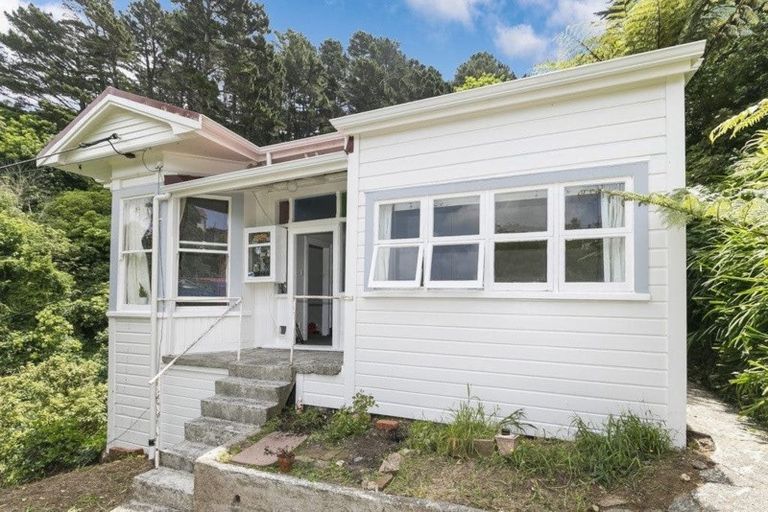 Photo of property in 13a Adams Terrace, Aro Valley, Wellington, 6021