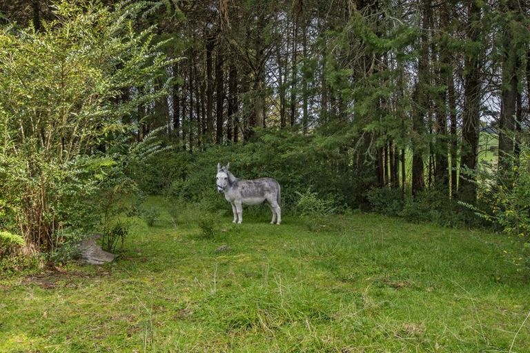 Photo of property in 305 Whananaki Road North, Opuawhanga, Hikurangi, 0181