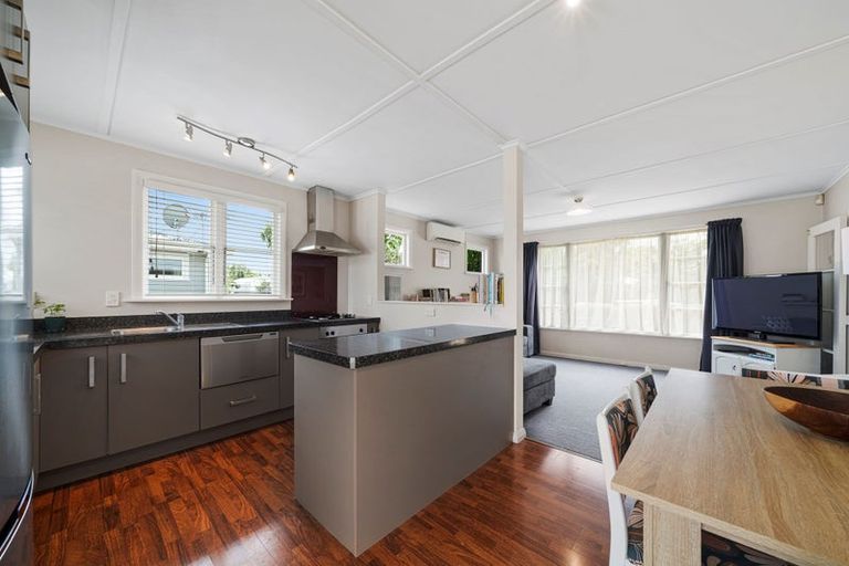Photo of property in 19 Salisbury Avenue, Terrace End, Palmerston North, 4410