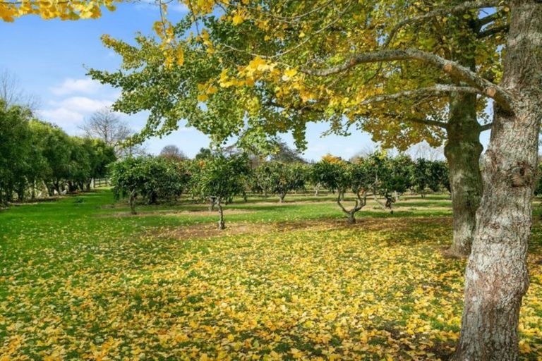 Photo of property in 174 Mystery Creek Road, Ohaupo, 3881