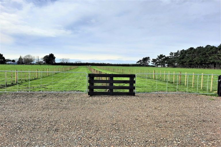 Photo of property in 157 Motuiti Road, Foxton, 4891