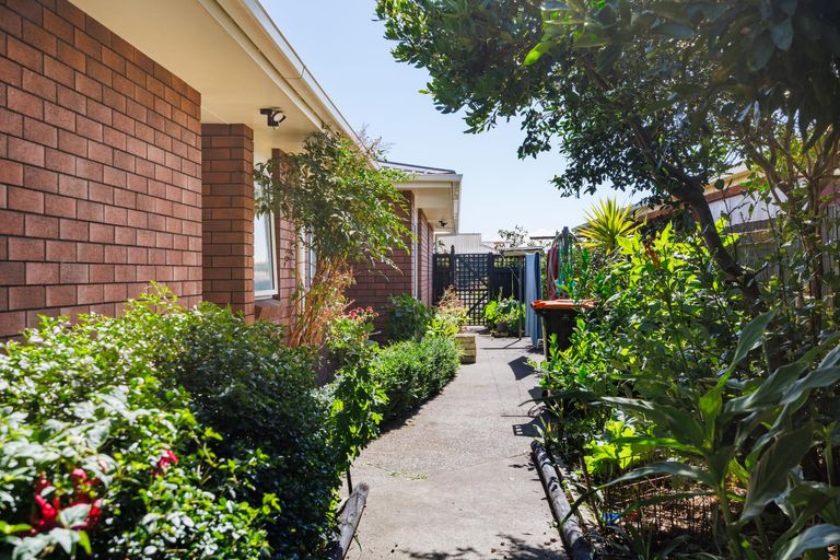 Photo of property in 66 Amberley Avenue, Highbury, Palmerston North, 4412