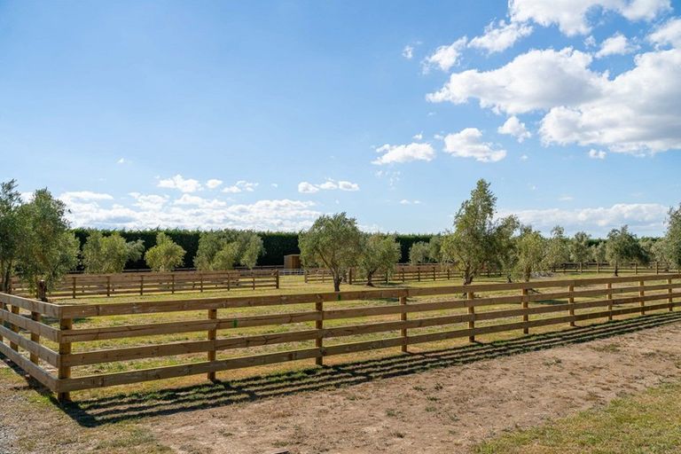 Photo of property in 399 Lake Ferry Road, Dyerville, Martinborough, 5781