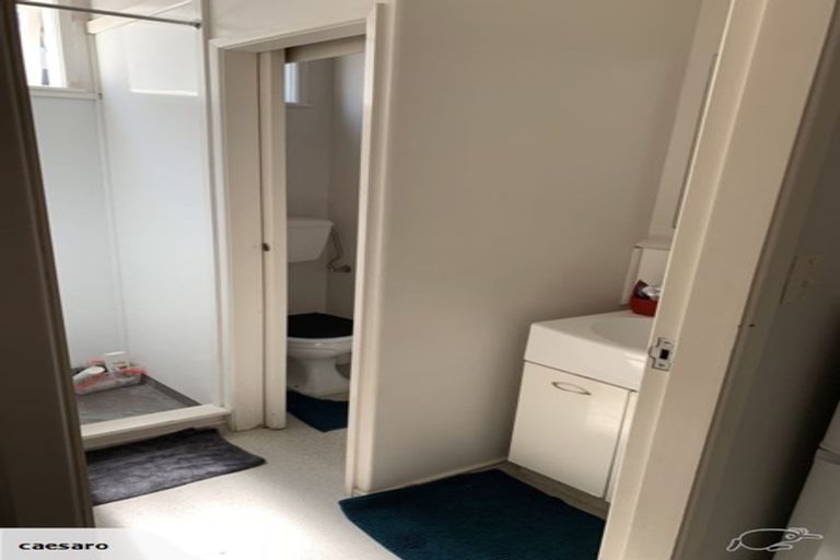 Photo of property in 58 Fairlie Terrace, Kelburn, Wellington, 6021