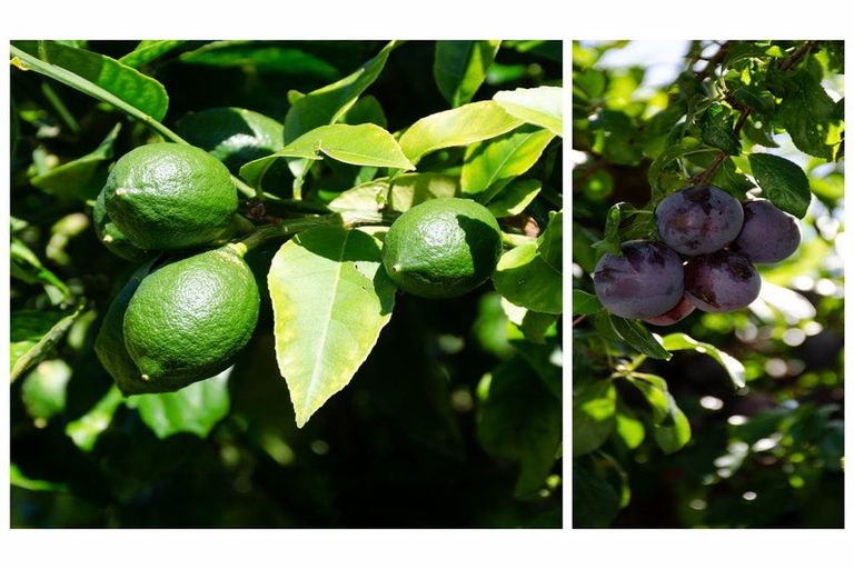 Photo of property in 193 Valley Road, Kawerau, 3127