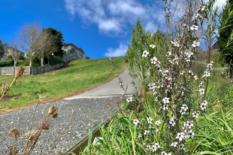 Photo of property in 79 Sapphire Drive, Hairini, Tauranga, 3112