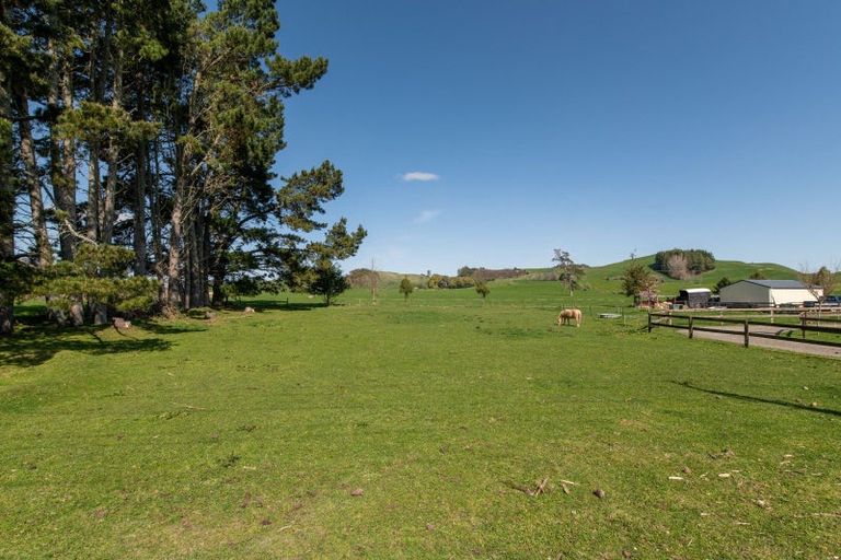 Photo of property in 196 Ash Pit Road, Rerewhakaaitu, Rotorua, 3073