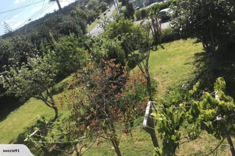 Photo of property in 177 Otaika Road, Raumanga, Whangarei, 0110