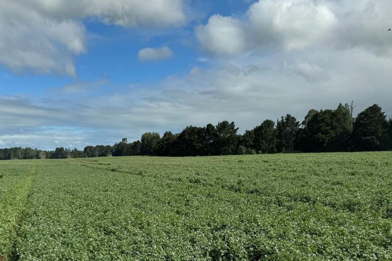 Photo of property in 314 Campbell Road, Richmond Downs, Walton, 3475