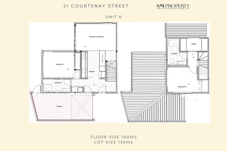 Photo of property in 21 Courtenay Street, St Albans, Christchurch, 8014