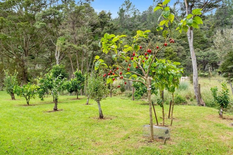 Photo of property in 1042 Ngunguru Road, Kiripaka, Whangarei, 0173