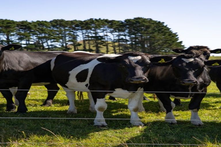 Photo of property in 227 Heard Road, Waihi, 3681