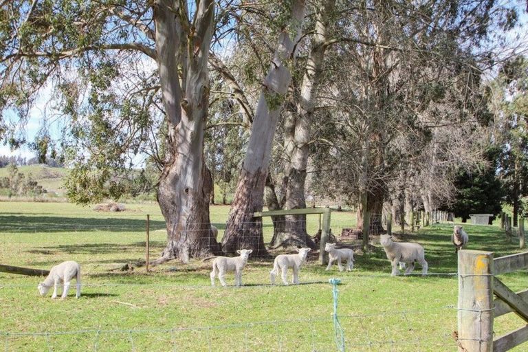 Photo of property in 41b Weston Road, Waiareka Junction, Oamaru, 9401