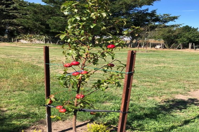 Photo of property in 32 Harrison Lane, Pakipaki, Hastings, 4178