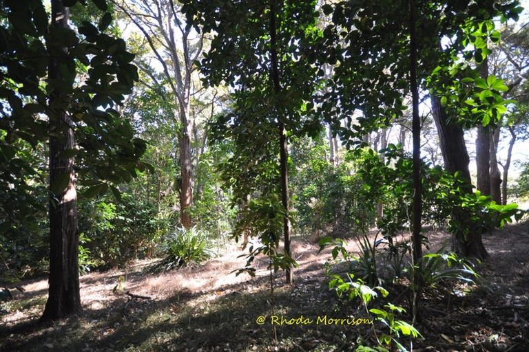 Photo of property in 196 Metcalfe Road, Matakohe, 0593