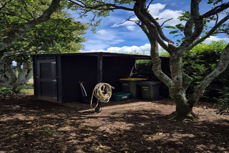 Photo of property in 84 Grieve Road, Otakiri, Whakatane, 3193