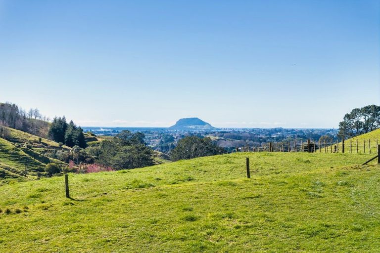 Photo of property in 164c Crawford Road, Wairoa, Tauranga, 3171