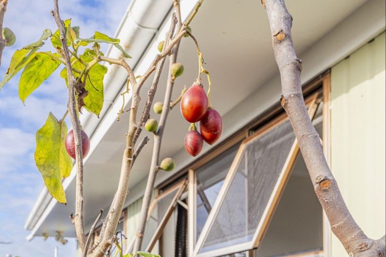 Photo of property in 10 Monmouth Place, Tamatea, Napier, 4112