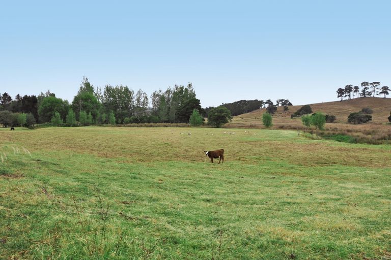 Photo of property in 309 Old Woodcocks Road, Kaipara Flats, Warkworth, 0981