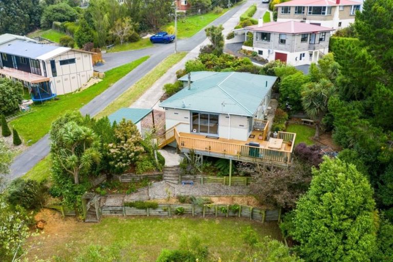 Photo of property in 62 Puketai Street, Andersons Bay, Dunedin, 9013