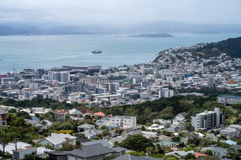 Photo of property in 149a Karepa Street, Brooklyn, Wellington, 6021