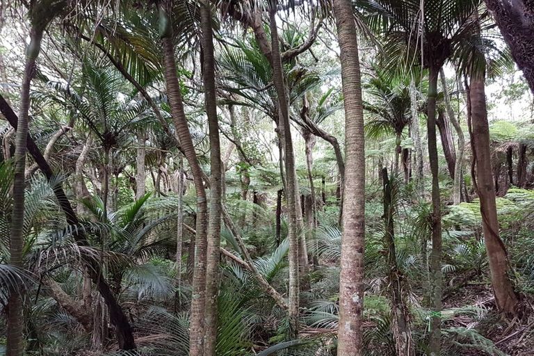 Photo of property in 328 Upper Harbour Drive, Greenhithe, Auckland, 0632