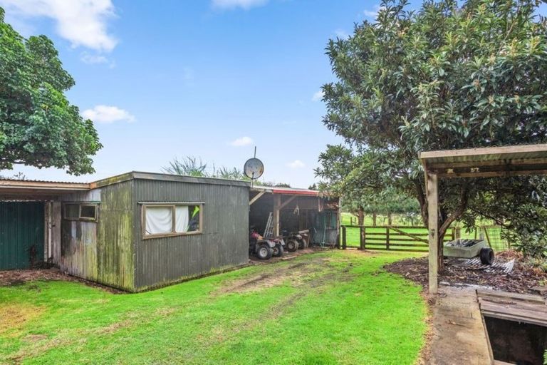 Photo of property in 711 Tablelands Road, Tirohanga, Opotiki, 3197