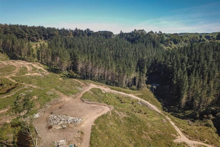 Photo of property in 81d Middle Road, Tohunga Junction, Raetihi, 4696