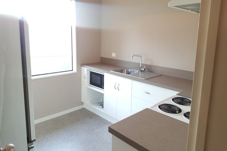 Photo of property in 3 Ballance Street, Caversham, Dunedin, 9011