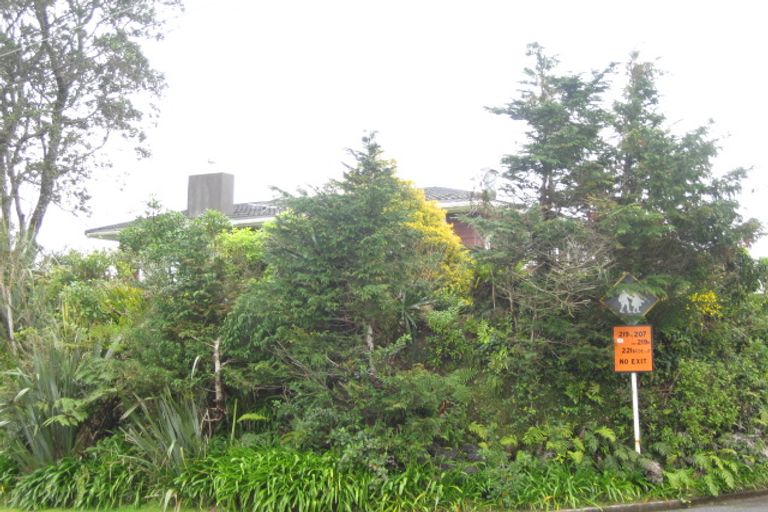 Photo of property in 219 Huatoki Street, Upper Vogeltown, New Plymouth, 4310