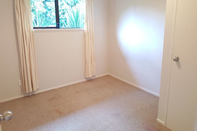 Photo of property in 3 Ballance Street, Caversham, Dunedin, 9011