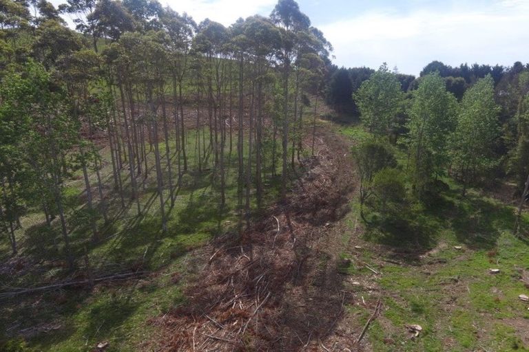 Photo of property in 59 Harbour View Rise, Mangonui, 0494