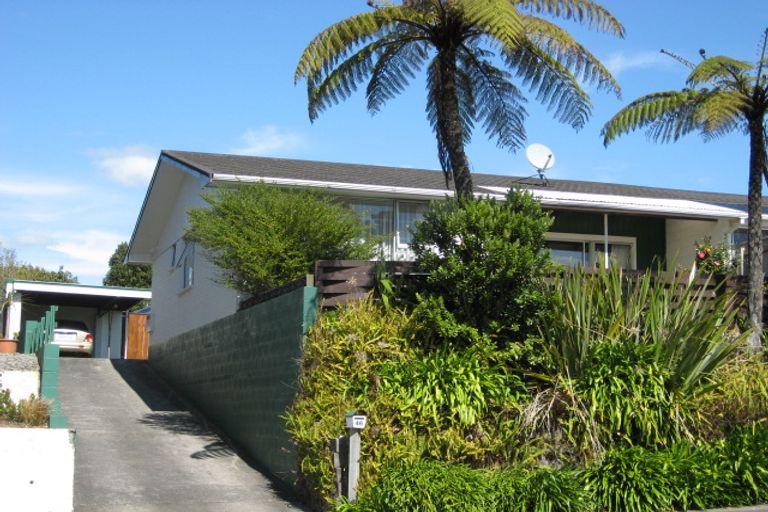 Photo of property in 46 Lemon Street, New Plymouth, 4310