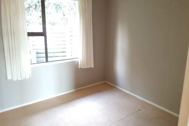 Photo of property in 3 Ballance Street, Caversham, Dunedin, 9011