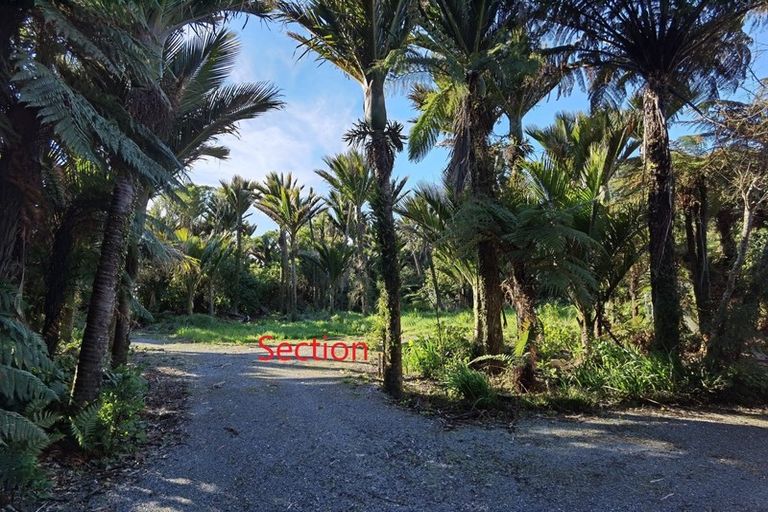 Photo of property in 4161 Coast Road, Punakaiki, 7873