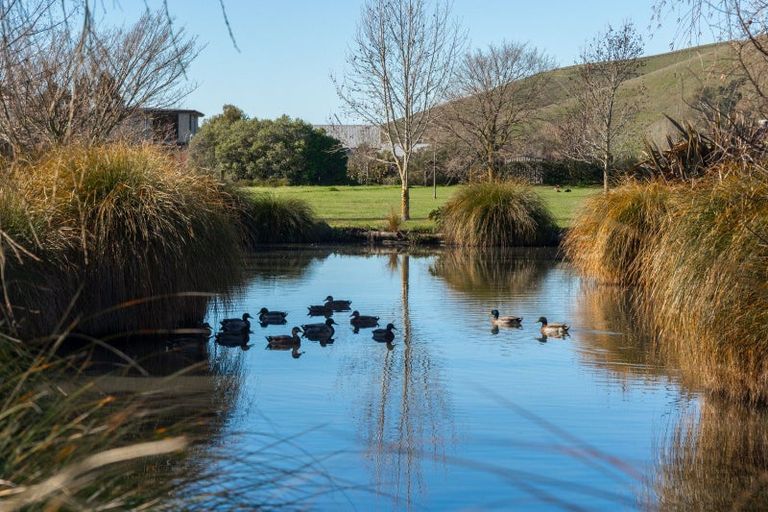 Photo of property in 113 Dry Hills Lane, Riverlands, Blenheim, 7274